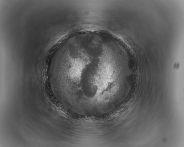 X0000100361399200806131004