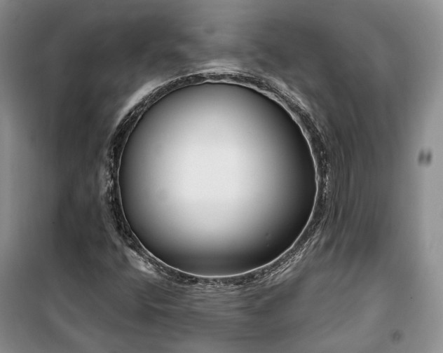 X0000100361400200806131004