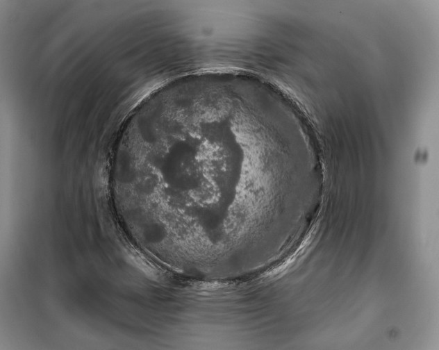 X0000100361401200806131004