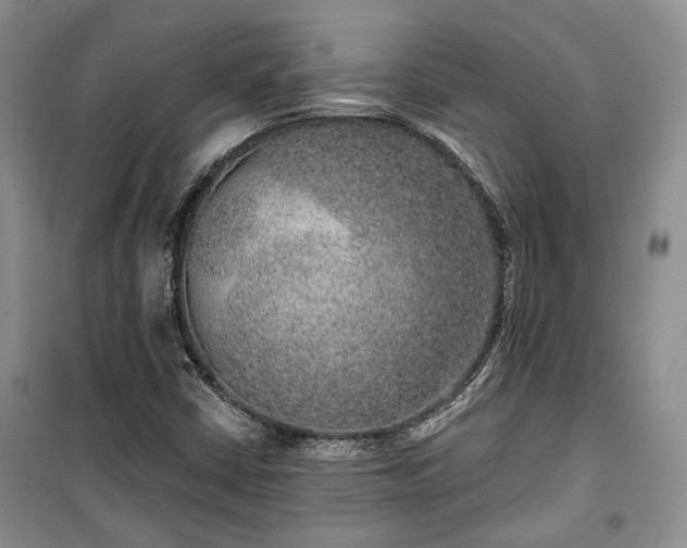 X0000100361402200806131004