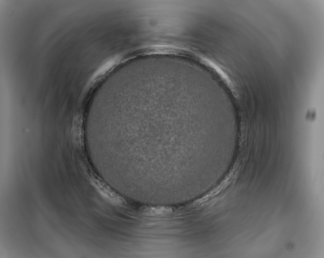 X0000100361403200806131005