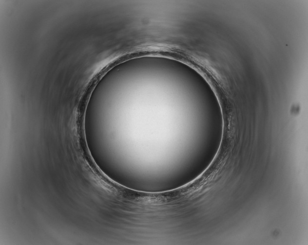 X0000100361404200806131005