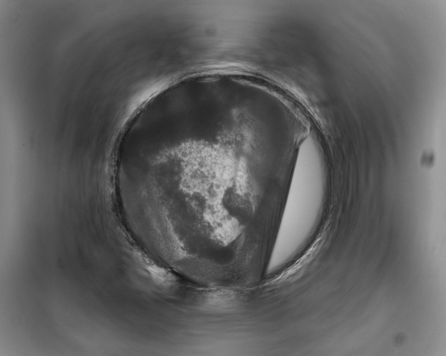 X0000100361405200806131005