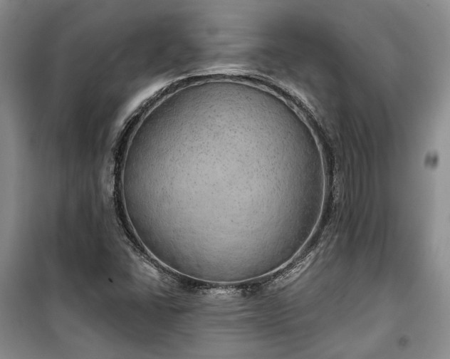 X0000100361406200806131005