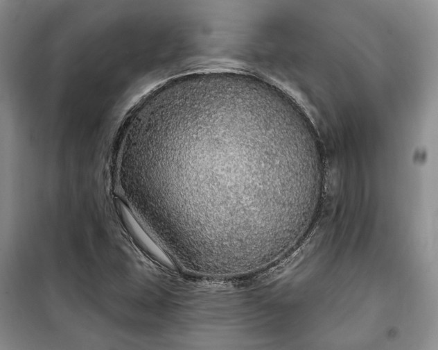 X0000100361407200806131005