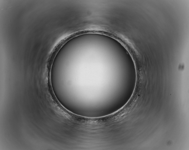 X0000100361408200806131005