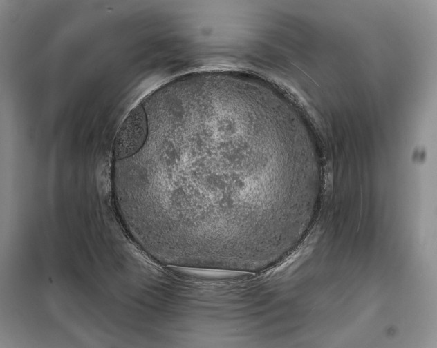 X0000100361409200806131005