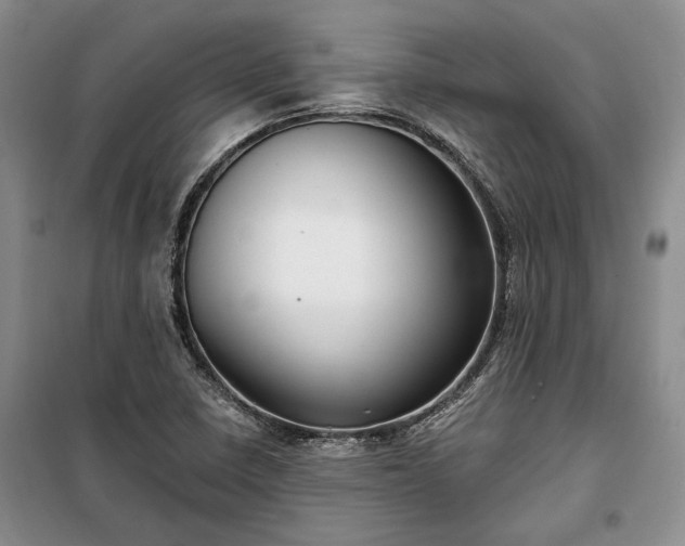 X0000100361410200806131005