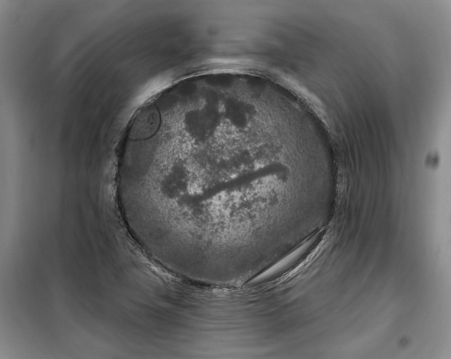 X0000100361411200806131005