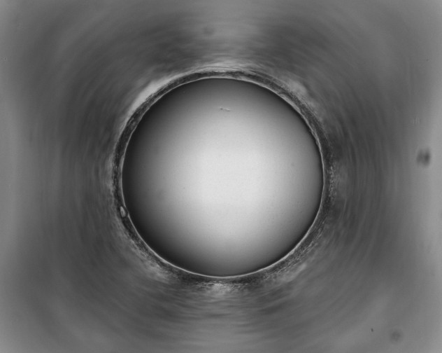 X0000100361412200806131005