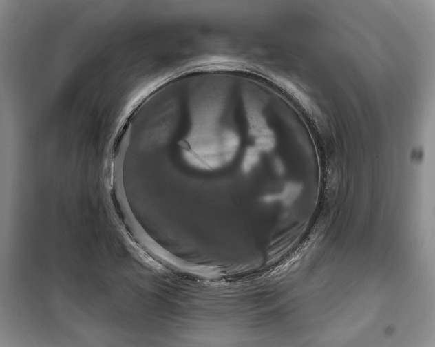 X0000100361413200806131005