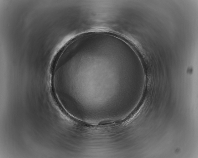 X0000100361414200806131005