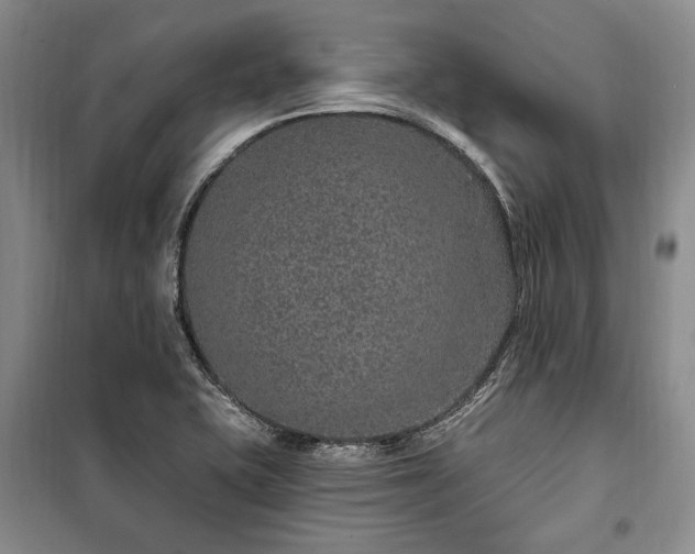 X0000100361415200806131005