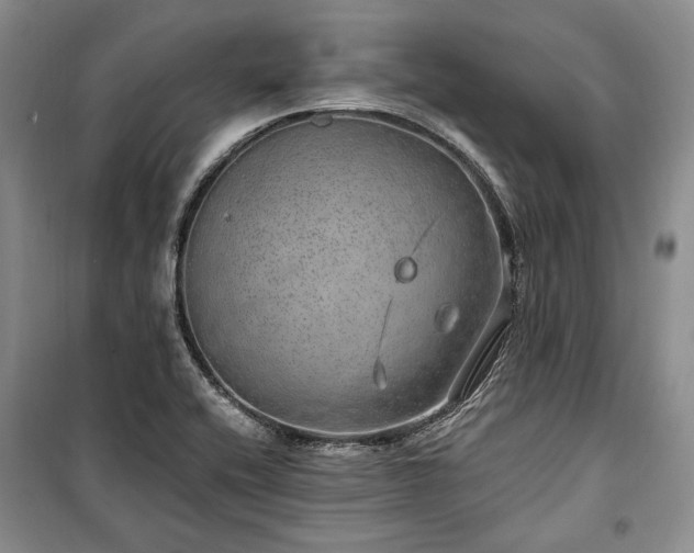 X0000100361416200806131005