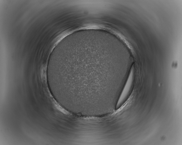 X0000100361417200806131005