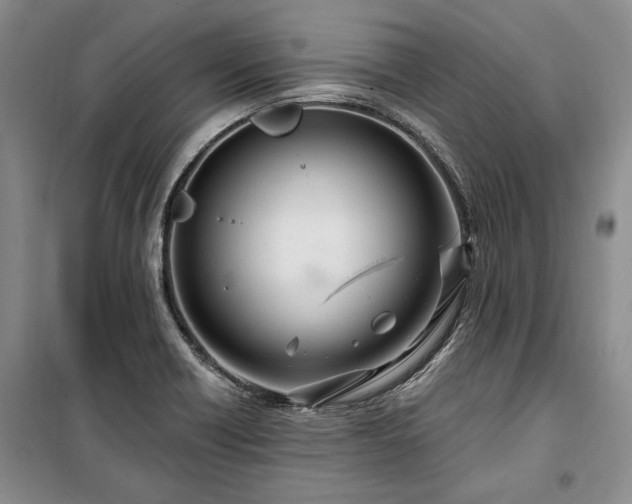 X0000100361418200806131005