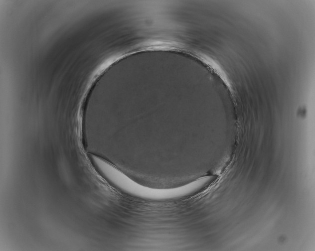 X0000100361419200806131005