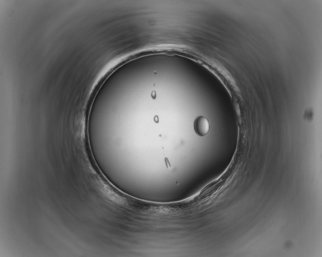 X0000100361420200806131005