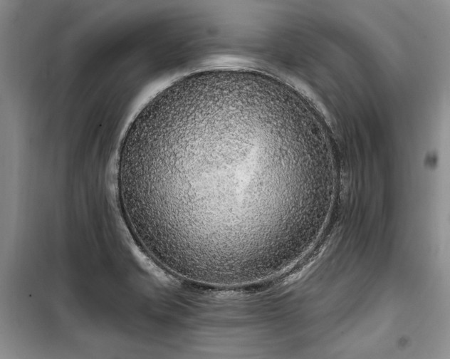 X0000100361421200806131005