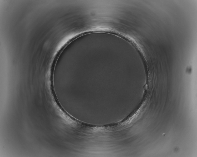 X0000100361422200806131005