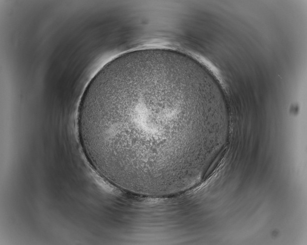 X0000100361423200806131005