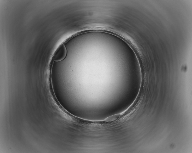 X0000100361424200806131005