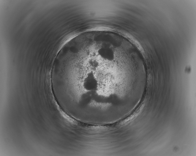 X0000100361425200806131005