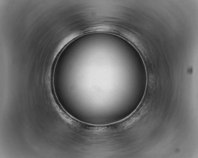 X0000100361426200806131005