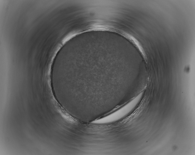 X0000100361427200806131005