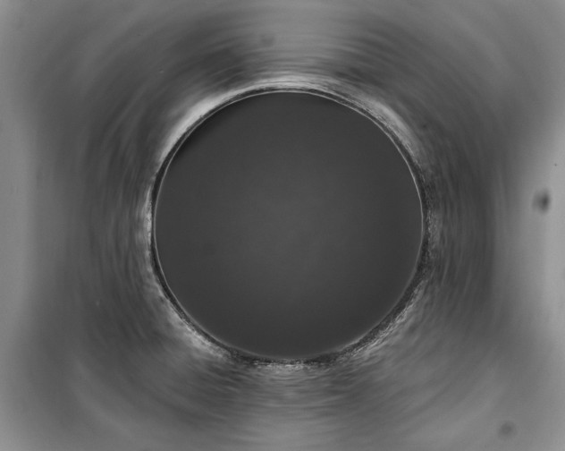 X0000100361428200806131005