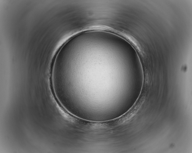 X0000100361430200806131005