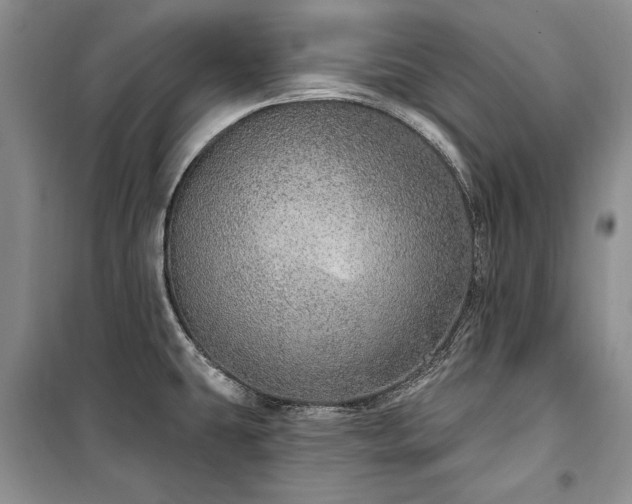 X0000100361431200806131005