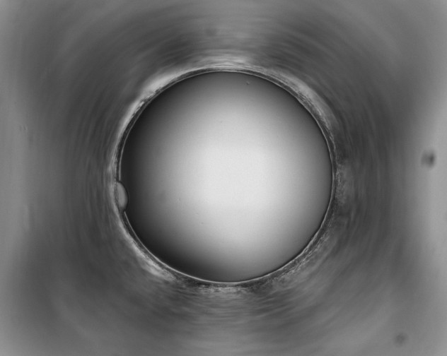 X0000100361432200806131005