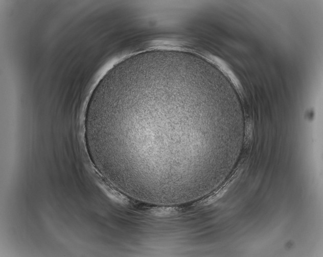 X0000100361435200806131005