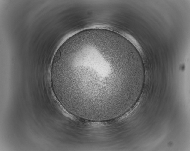 X0000100361436200806131005