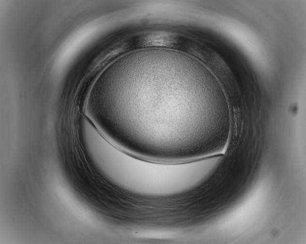 X0000100361438200806131005