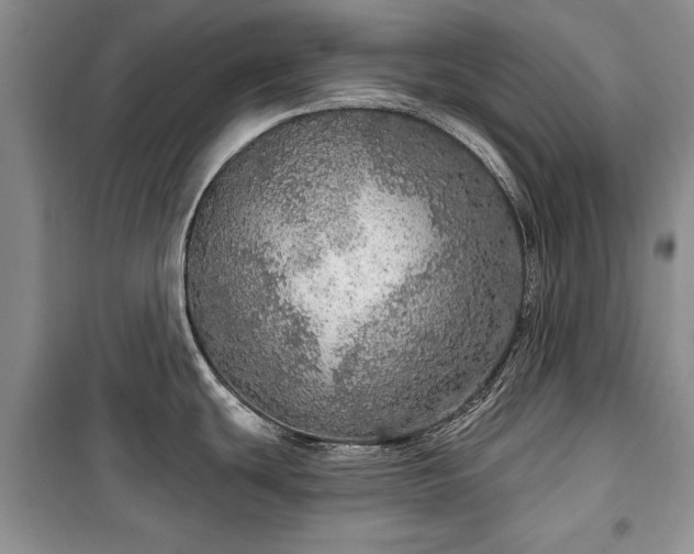 X0000100361439200806131005