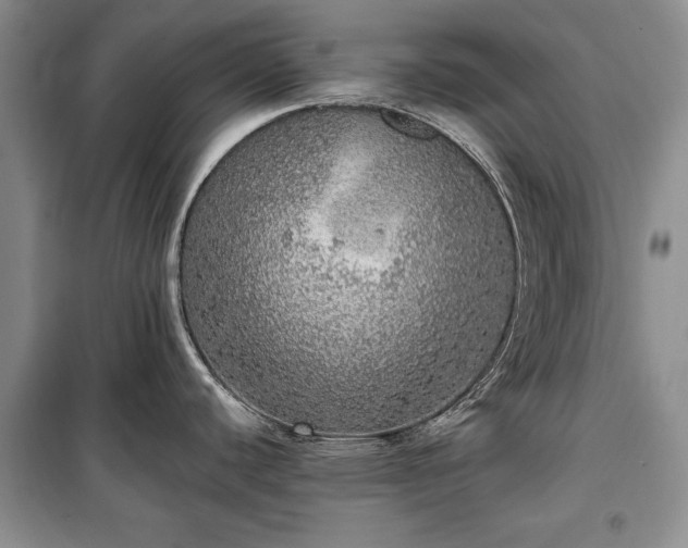 X0000100361440200806131005