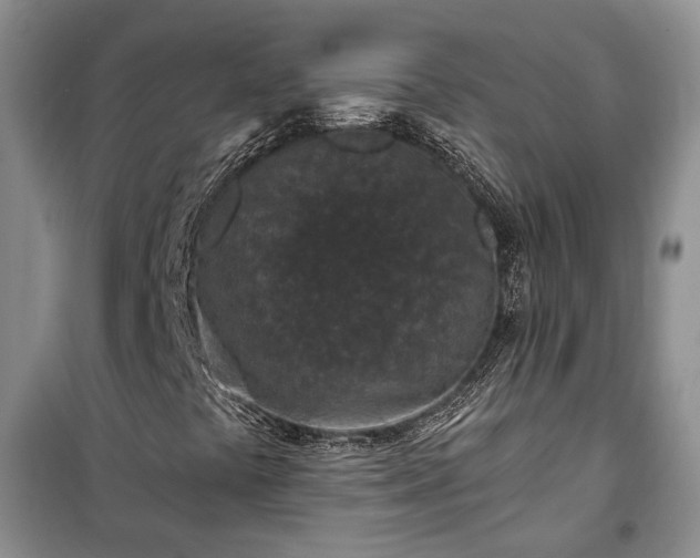 X0000100361441200806131004