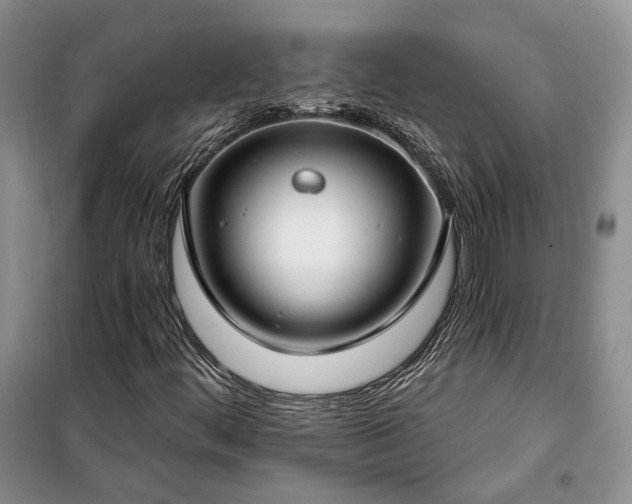 X0000100361444200806131004