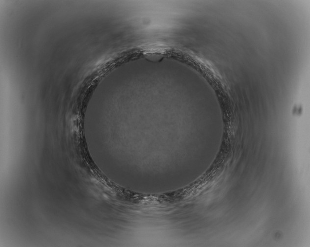 X0000100361445200806131004