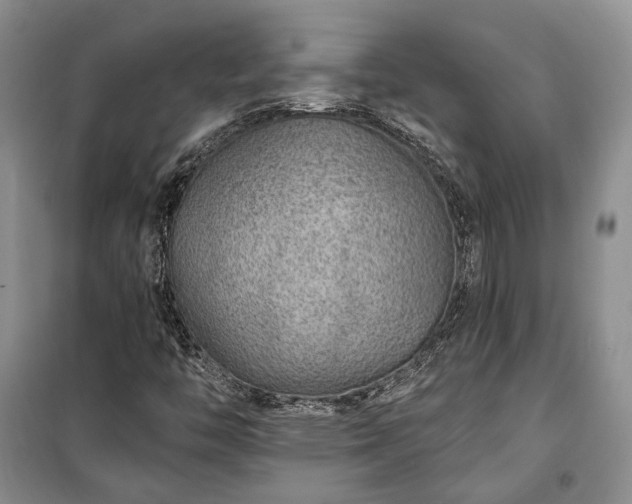 X0000100361446200806131004