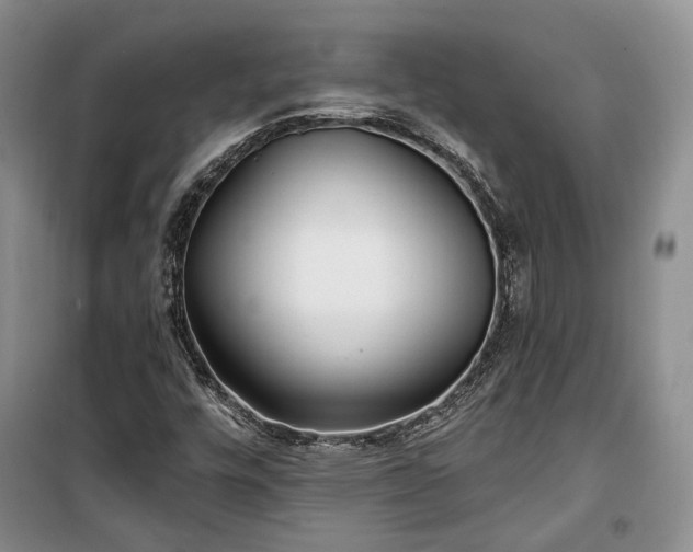 X0000100361448200806131004