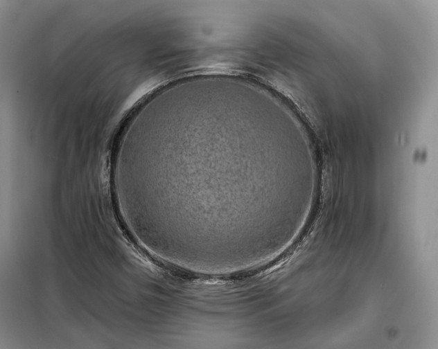 X0000100361450200806131004