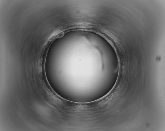 X0000100361451200806131004