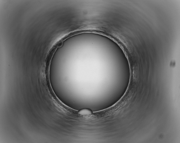 X0000100361452200806131004