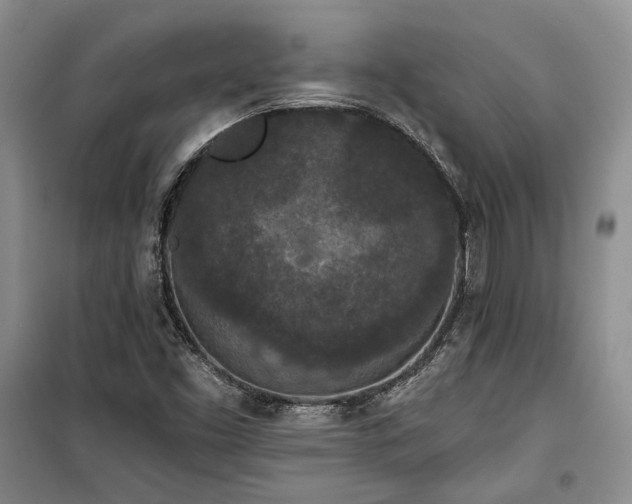 X0000100361453200806131004