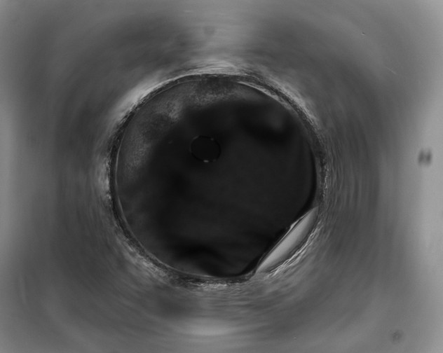 X0000100361455200806131004