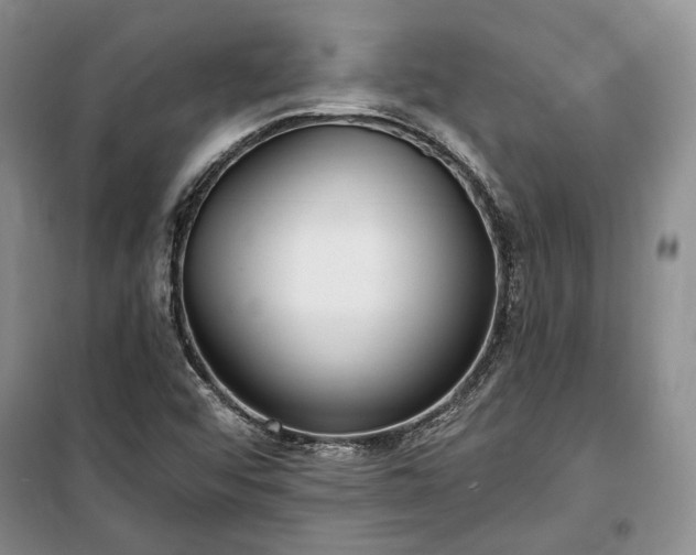 X0000100361456200806131004