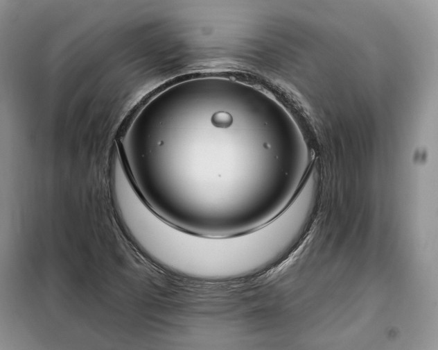 X0000100361457200806131004